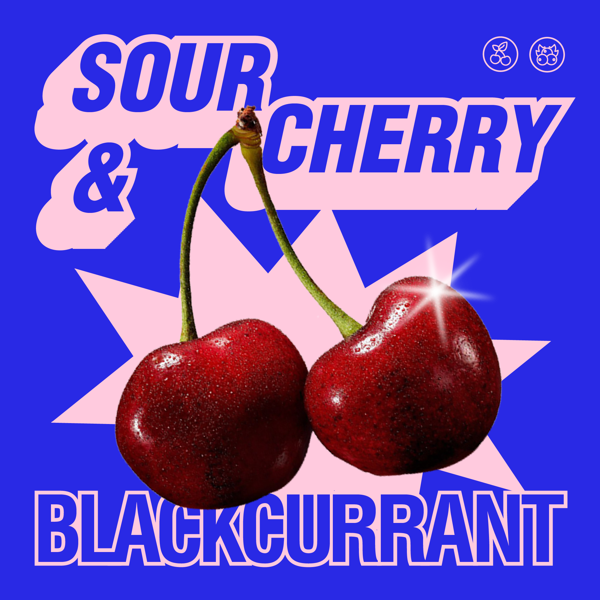 Sour Cherry Blackcurrant Protein Soda