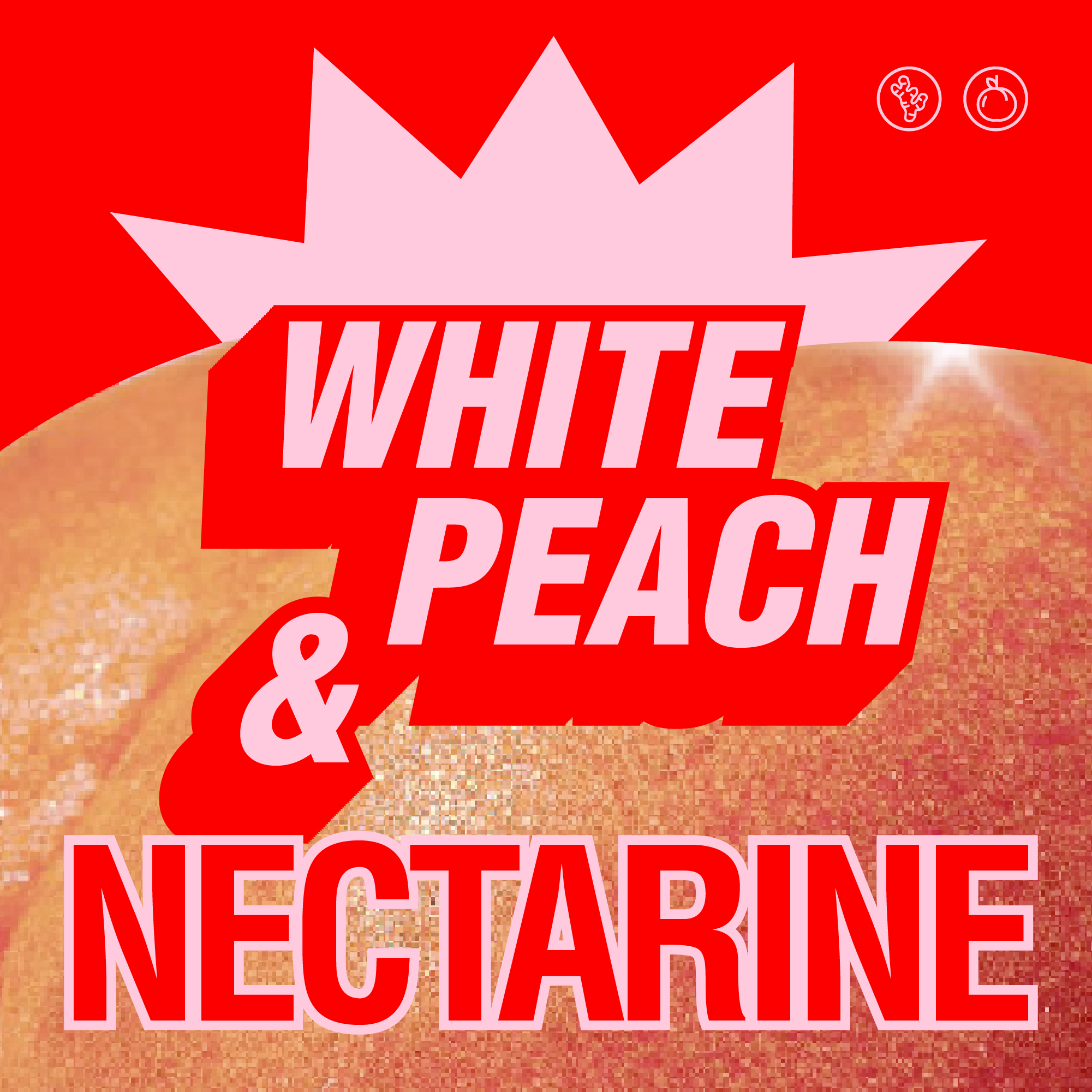 White Peach Nectarine Protein Soda